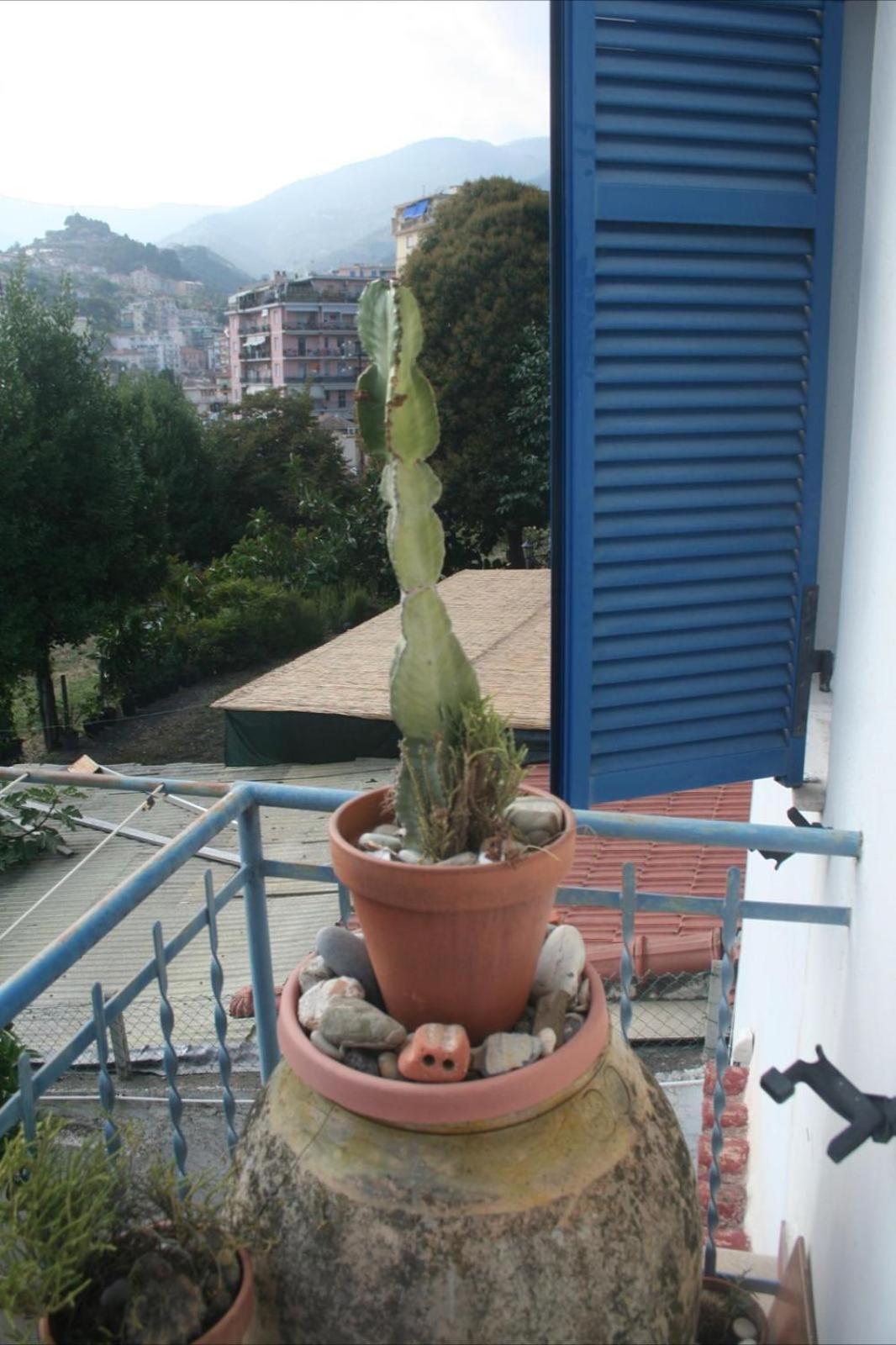דירות סנרמו La Casa Di Flora מראה חיצוני תמונה